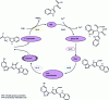 Figure 9 - Enzymatic synthesis of violacein