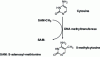 Figure 2 - Epigenetic modification of DNA