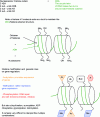 Figure 3 - Epigenetic changes in histone proteins