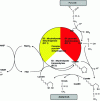 Figure 8 - Pyruvate dehydrogenase complex takes over pyruvate to produce acetyl-CoA