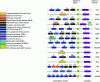 Figure 14 - Different receptors with tyrosine kinase activity domains