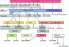 Figure 25 - Production of the various hormones (adapted from a document in Biochimie Tome I. J. Kruh. Éditions Hermann) (permission to use – copyright© Éditions Hermann)