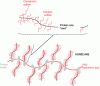 Figure 7 - General structure of proteoglycans