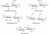 Figure 9 - Structure of glycosaminoglycan saccharide units