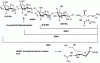 Figure 12 - Structure of GM-1, GM-2 and GM-3 gangliosides