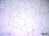 Figure 3 - Optical microscopy image of a concentrated O/W emulsion