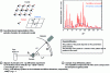 Figure 3 - Crystal structure and principle of X-ray diffraction analysis