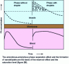 Figure 21 - Schematic representation of PA concentration changes on either side of the GI membrane for two initial concentration values