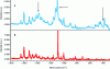 Figure 5 - Comparison of Raman spectra of a suspect sample (A) and a genuine sample (B) (after [33])