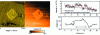 Figure 23 - Topography/capacity images and associated
profiles obtained on the 8 µm x 8 µm square plot