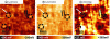 Figure 44 - Surface potential maps of a polymer blend
(PCBM/FG1). The photopotential map is obtained by subtracting the
dark map from that obtained under illumination (515 nm).