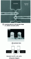 Figure 13 - a) Scanning electron microscopy image of a silicon nanowire (LETI), (b) cross-sectional view and (c) schematic diagram of the device.