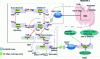 Figure 5 - Deployment plan for the Toulouse hub