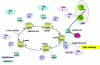 Figure 7 - Jussieu deployment diagram