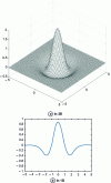 Figure 1 - Mexican hat