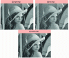 Figure 22 - Lena image denoising in the presence of Gaussian noise