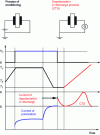 Figure 24 - How a CDTS experiment works