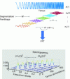 Figure 43 - Process for calculating a chirp spectrogram