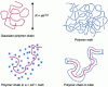 Figure 10 - Behavior of polymer chains in a polymer melt