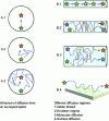 Figure 13 - Schematics of the influence of diffusion time and various diffusion regimes