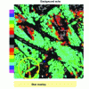 Figure 3 - Highlighting sub-surface fiber overlap using background echo