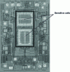 Figure 21 - Two-axis accelerometer with interdigitated capacitive combs (Doc. Analog Devices)