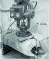 Figure 3 - Sensor layout