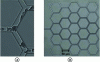 Figure 24 - a) Instantaneous image of a bifurcation in a microfluidic chip with red blood cell flow. b) Microfluidic chip; time-averaged image enabling hematocrit to be determined after calibration (Beer-Lambert absorption regime); flow is from left to right.