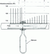 Figure 1 - Principle of differential pressure flow measurement