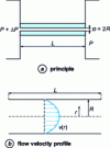 Figure 1 - Capillary viscometer