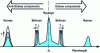 Figure 13 - Illustration of the three scattering mechanisms in optical fibers