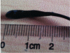 Figure 38 - Sensor encapsulated in insulating resin