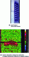 Figure 6 - Testing a metal gusset connector in single-pull operation