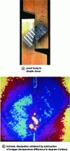 Figure 7 - Testing a metal gusset connector working in single shear