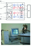 Figure 4 - Diagram and photo of the Pyref