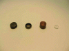 Figure 3 - From left to right, DSC capsule (Perkin-Elmer) for cp measurement and its cover, cylinder-shaped cut alloy for cp measurement without capsule and sapphire disk for calibration.