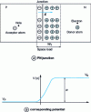 Figure 23 - Representation of a PN junction at thermodynamic equilibrium in an open circuit (from http://www.brive.unilim.fr/files/fichiers/quere/Elec_phys/CHAP_2.pdf )