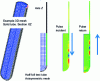 Figure 26 - Finite element simulation (Cast3M) of guided mode propagation in the walls of a test tube filled with viscoelastic liquid [55].