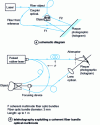 Figure 9 - Fiber optic holography (source: Bell Laboratories)