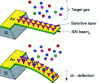 Figure 19 - Deflection of a microbeam subjected to chemical vapors