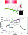 Figure 20 - Spot obtained on the CCD sensor and response obtained for toluene