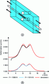 Figure 17 - OLCR determination of a strain gradient experienced by a Bragg grating [165].
