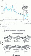 Figure 4 - Identifying the suspension frequencies of a massive machine (for II, see figure )