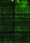 Figure 7 - Pair of Reference blocks type 1, coated
with a 20 μm nickel-chromium deposit, processed with the ISO 3452-2,
IDa Level 4 product family (Photo credit: Srem technologies).