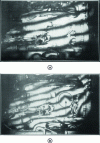 Figure 2 - Two holograms produced on RENAULT's engine test bench, (a) without engine knock, (b) with knock (Credit Renault).