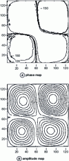 Figure 44 - Excitation at 102.4 Hz, (a) Vibratory phase map, (b) Vibratory amplitude map