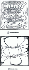 Figure 45 - Plate excited by two forces at 127 Hz, (a) Vibratory amplitude map, (b) Vibratory phase map