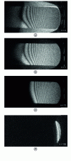 Figure 8 - Holographic images reconstructed for the clarinet reed vibrating at frequency 2,143 Hz; (a) Image for n = 0; (b)-(d) Sideband images respectively for n = 1, n = 10, and n = 100. A logarithmic gray scale was used.