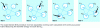 Figure 1 - Experimental SEA procedure for obtaining the statistical transfer matrix between all subsystems