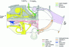 Figure 4 - Cross-section of Vulcain oxygen turbopump (doc. SNECMA)